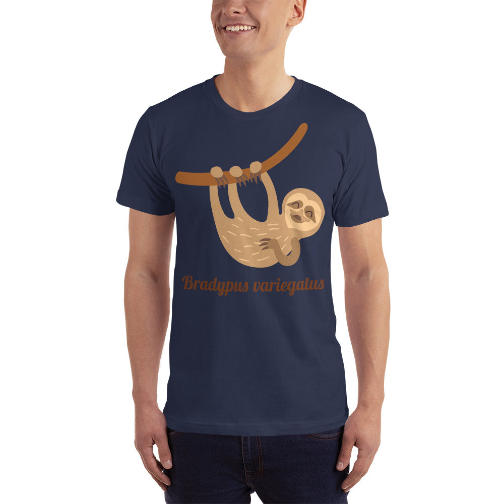 Bradypus Variegatus Slothin It