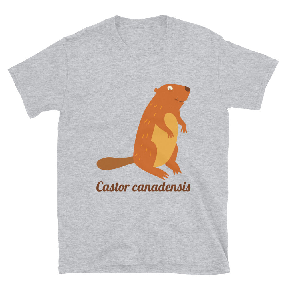 Beaver