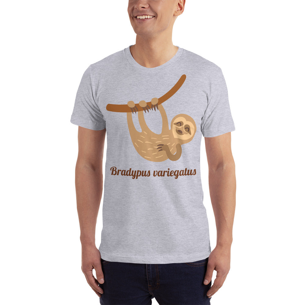 Bradypus Variegatus Slothin It